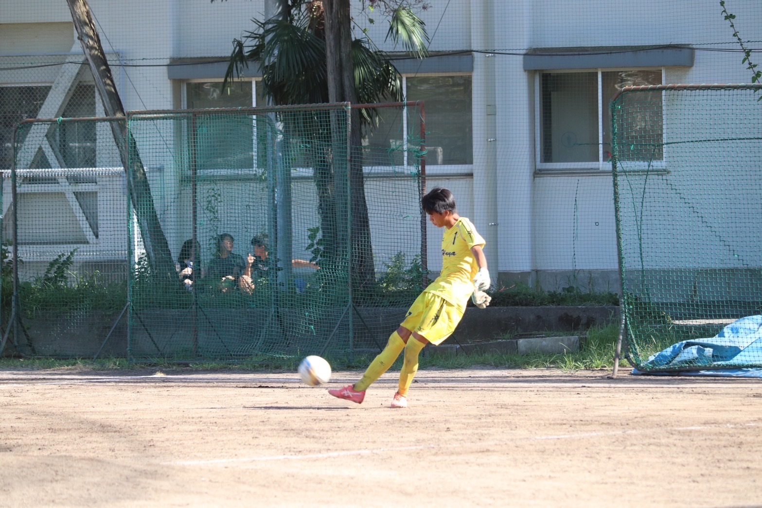 Image (7)